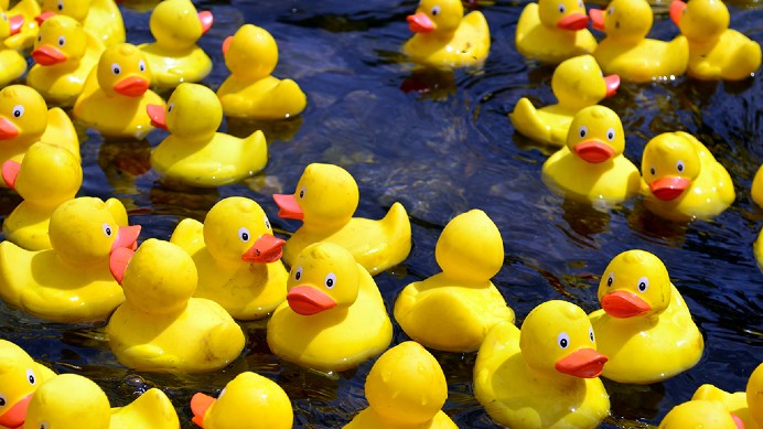 Duck Race 2019